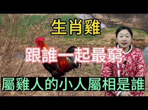 屬雞適合的方位|【屬雞適合的方位】雞年必看！屬雞住房風水大解析：適合方位樓。